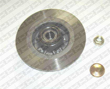 Bremsscheibe hinten Renault