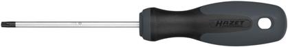 Schraubendreher Torx