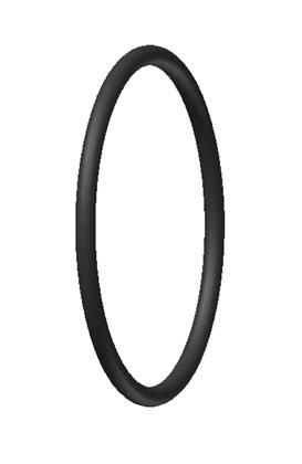 Dichtring