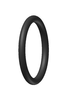 Dichtring