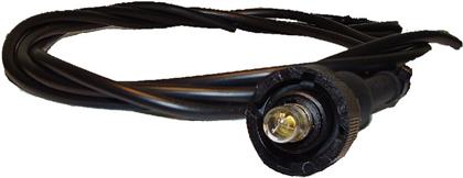 Fassungsgehäusem. Glühlampe