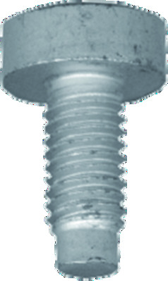 Schraube, Bremssattel