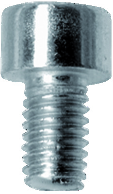 Schraube, Bremssattel