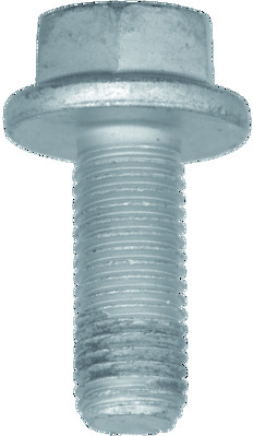 Schraube, Bremssattel