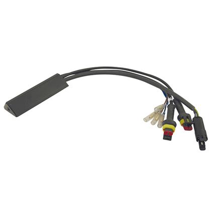 Fußschalterelektrik BÄR