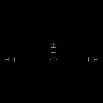 Y-Adapterkabel 2 adrig