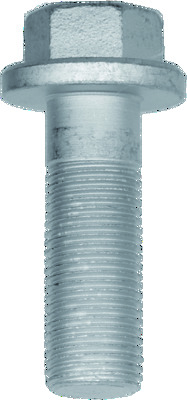 Schraube, Bremsscheibe