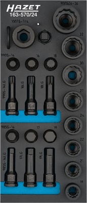 Kraft-Stecknuss-Satz