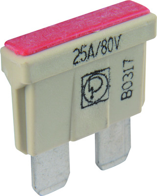 Sicherung für Elektrofahrzeuge  25 A