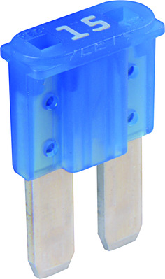Sicherung Micro2 15A