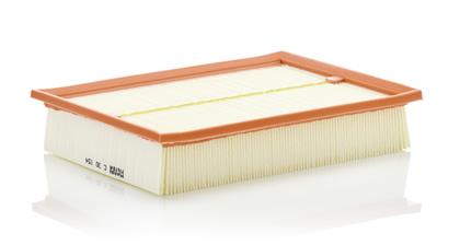 Filter, Innenraumluft RG 1
