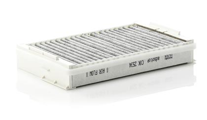 Filter, Innenraumluft RG  4