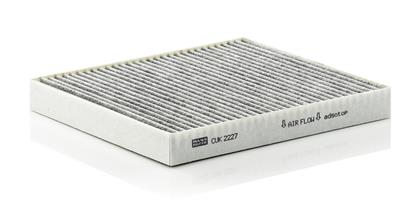 Filter, Innenraumluft RG  6