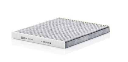 Filter, Innenraumluft RG 1