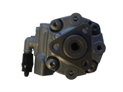 Servopumpe