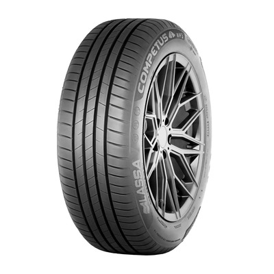 225/55R 19  V TL Competus H/P 3 99V