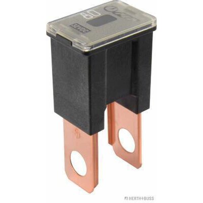 Blocksicherung PAL-B 80A schwarz