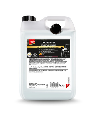 PROFESSIONAL Glasreiniger 5L