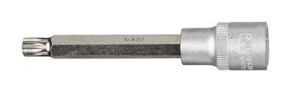 1/2 Bit-Stecknuss XZN, M9