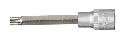 1/2 Bit-Stecknuss XZN, M10