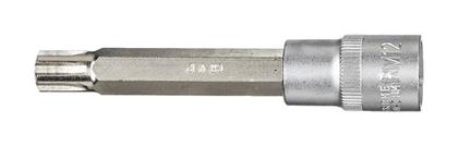 1/2 Bit-Stecknuss RIBE, M12