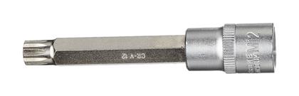 1/2 Bit-Stecknuss XZN, M12