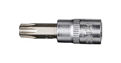 1/4 Bit-Stecknuss TX, T40