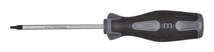 Schraubendreher TX 10