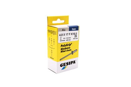 Blindn.Polygrip AlSt 4,8x17 GK