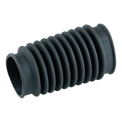 Faltenbalg Dhollendia