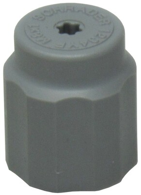 Schutzkappe