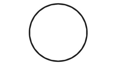 O-Ring