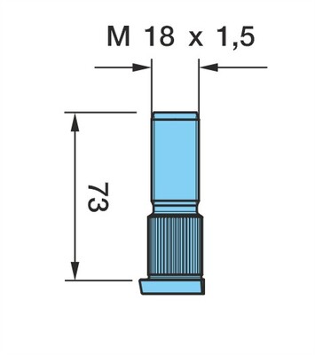 Radbolzen
