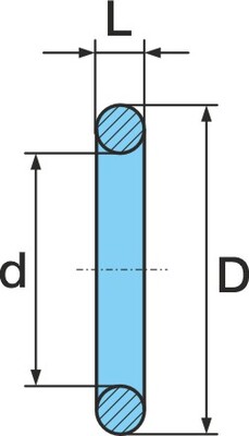 O-Ring