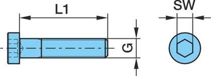Zylinderschraube M20X60