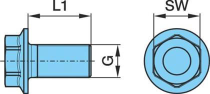 Sicherungsschraube