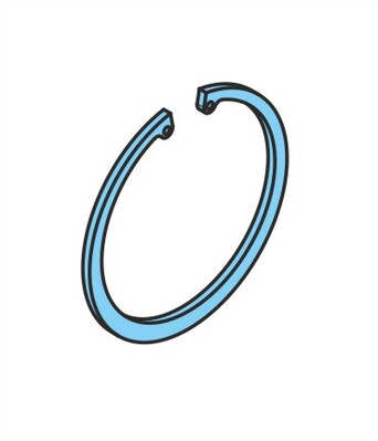 Sicherungsring